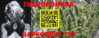 МДМА Камышлов