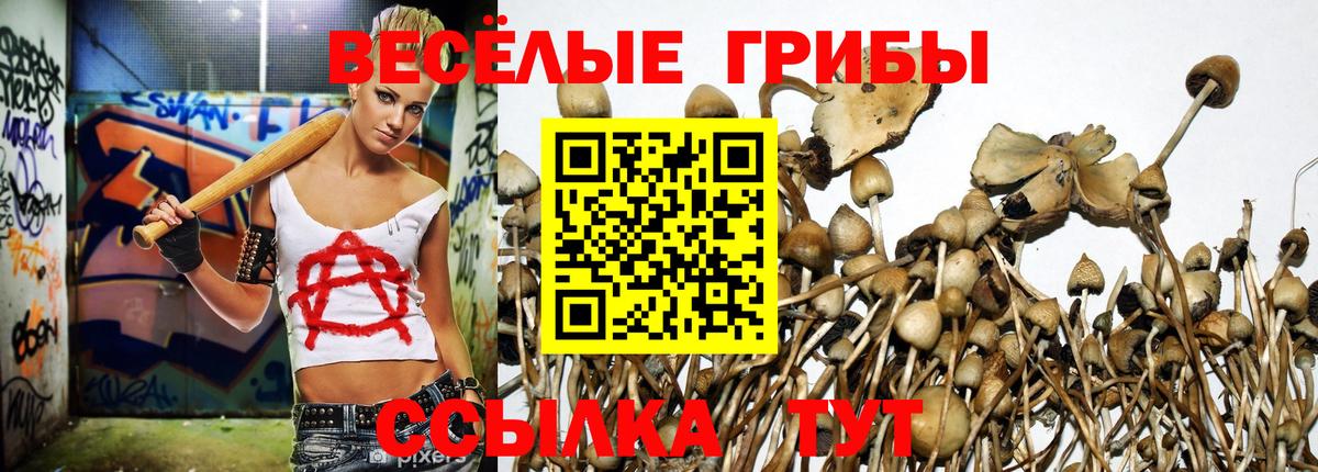 Галлюциногенные грибы Psilocybe  Вход с VPN  Чебоксары 